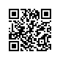 13246-43011 O RING