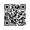 13246-87400 ORING