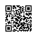 13251-0010-JJ 