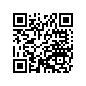 132510005JJ 