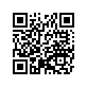 132511004EE 