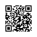 132511081KK 