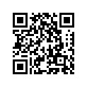 132601695 Gear, Input 2nd, 22t