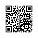 132621333 GEAR,INPUT 2ND,17T