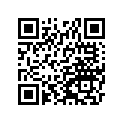 132801194 Holder, Jet Needle     Cnus