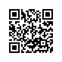 13294-30010 RING