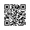 13294-40110 O RING