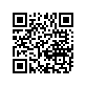 13295-29F00 O RING