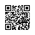 13295-33110 .o Ring