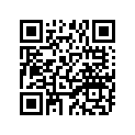 133-81153-10-00 GOVERNOR ASY