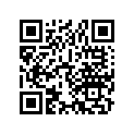 13300-381-000 Вал коленчатый