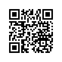 1332766 CHAIN-.25PX.40WX46L(490074)