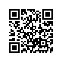 13331-07G10 .ring ()