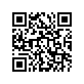 13341-03B00 .JET, NEEDLE