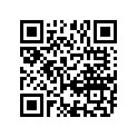 13341-03G00 .jet, Needle