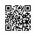 13341-08H00 Jet, Needle