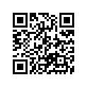 13341-14H00 JET,NEEDLE
