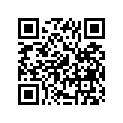 13341-29F20 .jet, Needle (p-0m)