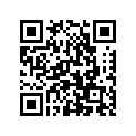 13381-36F40 .needle, Jet (6chy17-65)