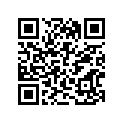 13381-36F50 NEEDLE (6CHY16-