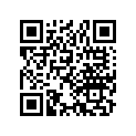 13381-430-300 Pin A, Crank