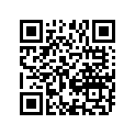 13383-01D00 NEEDLE,JET