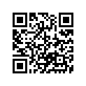 13383-03B10 Needle (24naag) (opt)