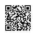 13383-03B50 Needle (24ncdf) (opt)