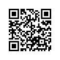 13383-03G00 .needle, Jet
