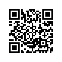 13383-04110 NEEDLE, JET