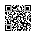 13383-06B00-000 NEEDLE,JET