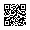 13383-06B20-000 Needle,jet (5d36-3)
