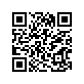 13383-08F30 NEEDLE,JET