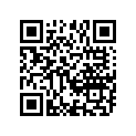 13383-08G00 .jet, Needle (5hgm74)