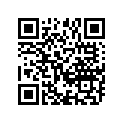 13383-09E10-000 Жиклер игольчатый