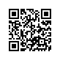 13383-10F30 .needle, Jet (5e09-56-1)