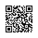 13383-10H10 Needle, Jet (nldr) (opt Not Shown       