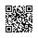 13383-14300 .needle, Jet (6fj40-2)