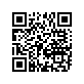 13383-14H00 JET,NEEDLE