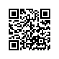13383-15F00-000 NEEDLE,JET(N8CA)