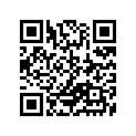 13383-16510 .needle, Jet (6fj6-3)