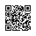 13383-17D10-000 Needle,jet (32d25-3)