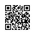 13383-17E20 NEEDLE,JET(6ZDY