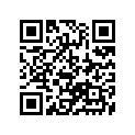 13383-22A00 .needle, Jet (shn23-3)
