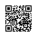 13383-22D10-000 NEEDLE,JET