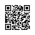 13383-22D70-000 Needle, jet lh (6fl89-55-3)