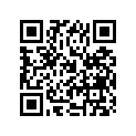 13383-24500 NEEDLE,JET