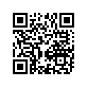 13383-25D20-000 Needle, jet