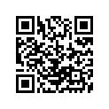 13383-27110 .needle, Jet