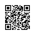 13383-27B30 .needle, Jet (4c09-1)